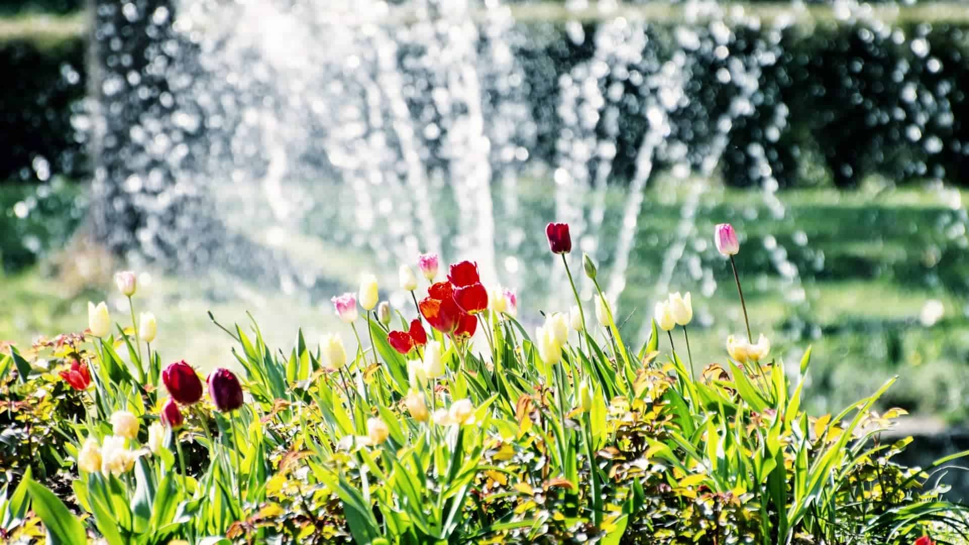 Garden Water Filter