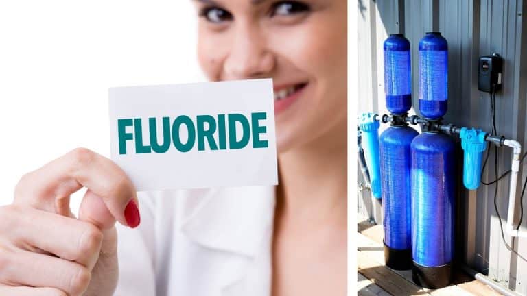 Whole house fluoride filter